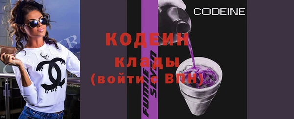 прущий лед Вяземский