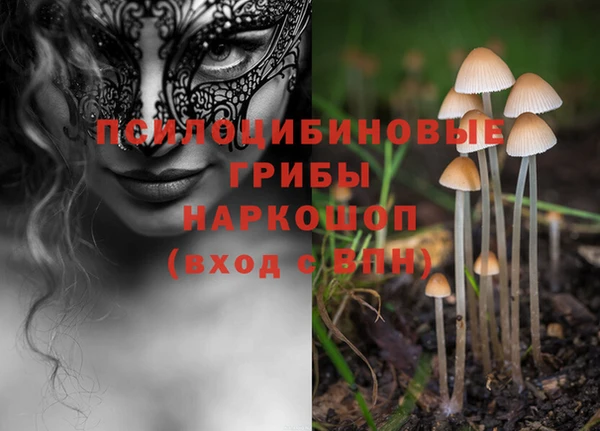 стафф Горняк