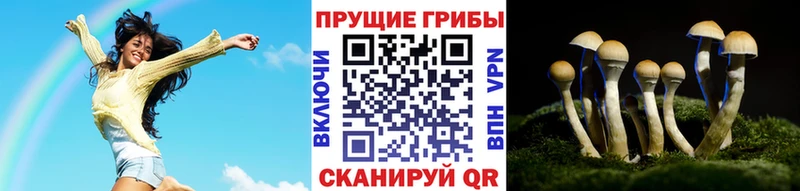 Псилоцибиновые грибы MAGIC MUSHROOMS Ермолино